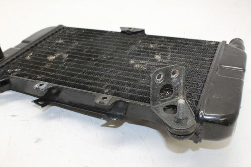03-04 Kawasaki Zzr600 ZX6E ZX600 Engine Radiator Motor Cooler Radiator OEM