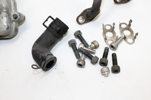 2001 Yamaha Yzf R6 Air Induction Reed Valves 5gv-14808-00-00 OEM