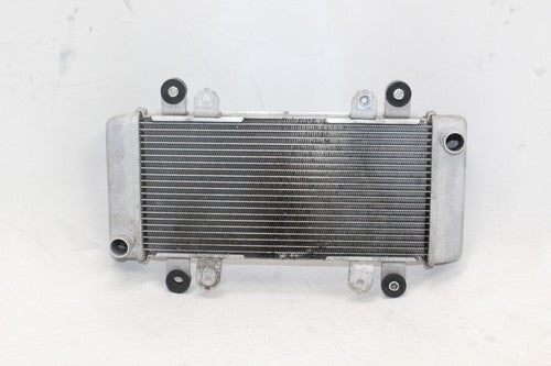 2013-17 Kawasaki Ninja 300 Ex300a Engine Radiator Motor Cooler Cooling OEM