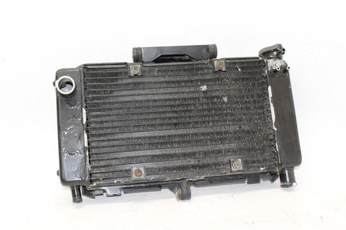 04-09 Yamaha Fz6 Engine Radiator Motor Cooler Cooling Radiater OEM