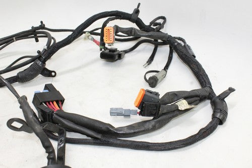 2005 Harley-davidson Sportster 883 Xl883l Main Engine Wiring Harness Motor OEM