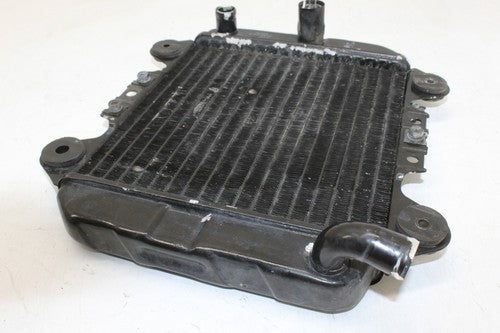 1995-2007 Kawasaki Ninja 250r Engine Radiator MOTOR Cooler Cooling Radiator OEM