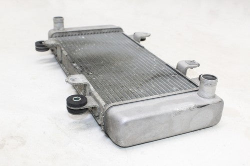 2013-17 Kawasaki Ninja 300 Ex300a Engine Radiator Motor Cooler Cooling OEM