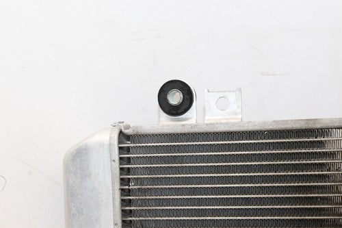 2009 Kawasaki Ninja 250r Ex250j Engine Radiator Motor Cooler Cooling Radiater