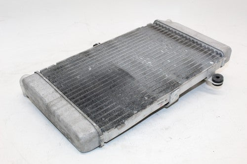 2007 Honda Silver Wing 600 Fsc600 Engine Radiator Motor Cooling Radiater OEM