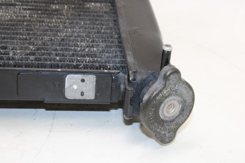 2002-03 Yamaha Yzf R1 Engine Radiator Motor Cooler Cooling OEM
