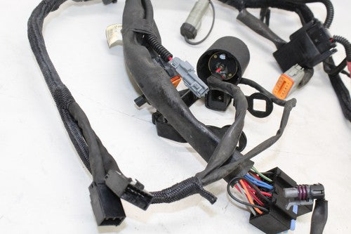 2005 Harley-davidson Sportster 883 Xl883l Main Engine Wiring Harness Motor OEM