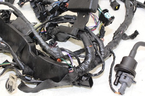 13-16 Triumph Daytona 675r Abs Main Engine Wiring Harness Motor Wire Loom OEM
