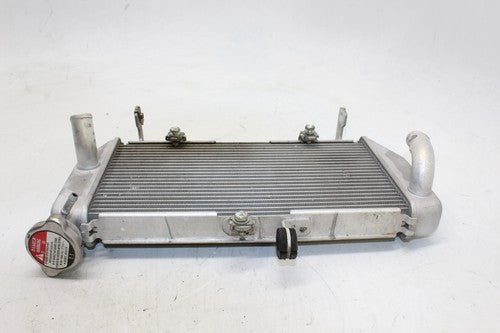 2015-2018 Yamaha Yzf R3 Engine Radiator MOTOR Cooler Cooling Radiater OEM