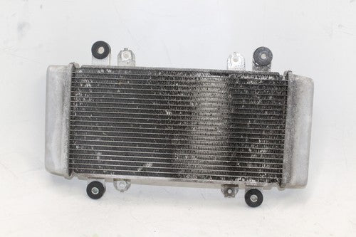 2013-17 Kawasaki Ninja 300 Ex300a Engine Radiator Motor Cooler Cooling OEM