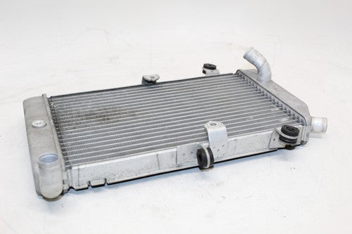 2007 Honda Silver Wing 600 Fsc600 Engine Radiator Motor Cooling Radiater OEM