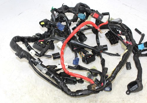 2015 Yamaha Fz09 Main Engine Wiring Harness Motor Wire Loom