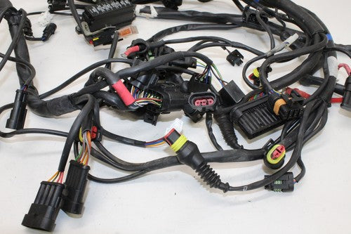 2000 Cagiva Gran Canyon 900 Main Engine Wiring Harness Motor Wire Loom OEM
