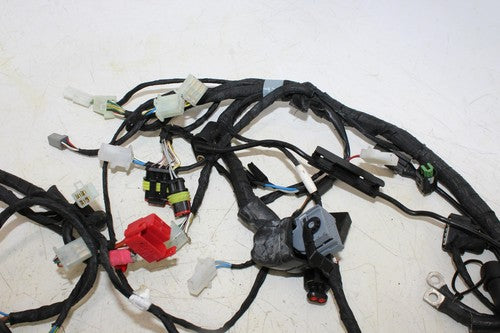 2014 Aprilia Rsv4 R 1100 Factory Main Engine Wiring Harness With Brake Hoses