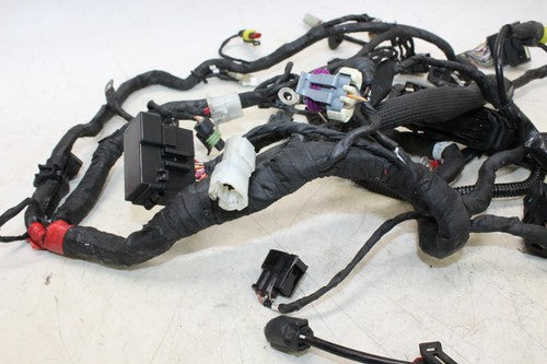 2013 Ducati Monster 796 Main Engine Wiring Harness Motor Wire Loom