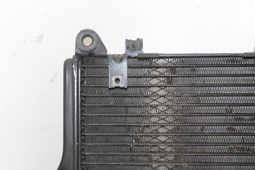 86-06 Kawasaki Concours 1000 Zg1000a Engine Cooler Cooling Radiator Radiater OEM
