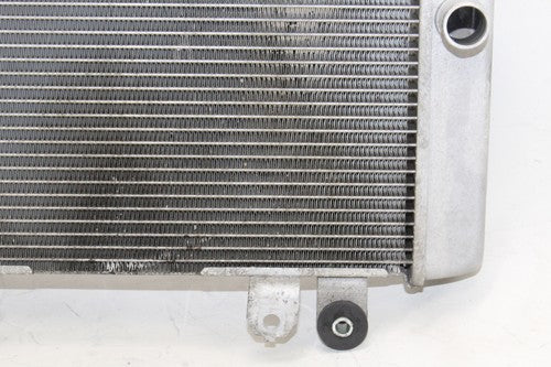 2013-17 Kawasaki Ninja 300 Ex300a Engine Radiator Motor Cooler Cooling OEM