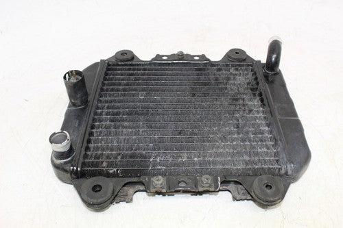 2006 Kawasaki Ninja 250r Ex250f Engine Radiator Motor Cooler Cooling Radiater