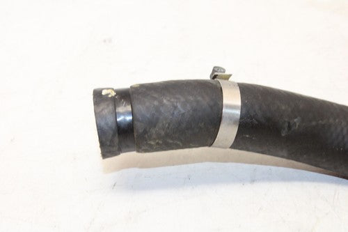 2001 Yamaha Yzf600r Hose