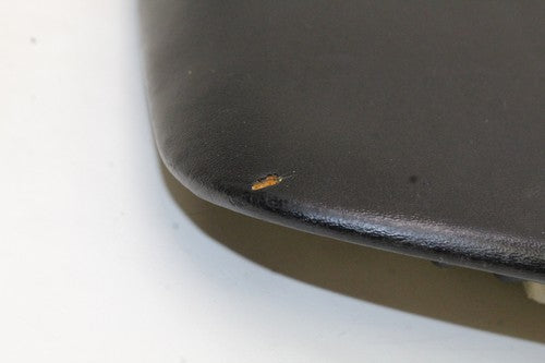 2006-07 Honda Cbr1000rr Rear Back Passenger Seat Pad Saddle OEM