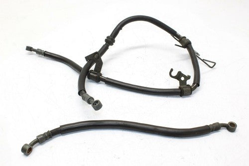 2003-2005 Suzuki Sv1000 Front Brake Caliper Hoses Lines OEM