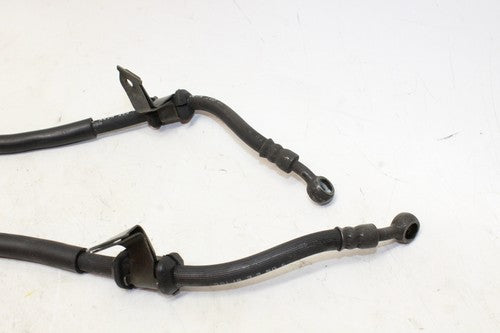 2002 Honda Super Hawk 1000 Vtr1000f Brake Caliper Hoses Lines