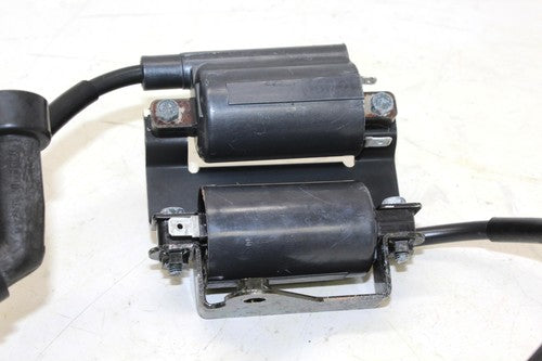 2005 Yamaha Virago 250 Xv250 Ignition Coils