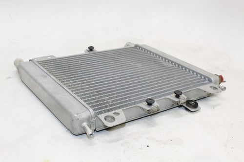 2007 Piaggio Bv 250 Engine Radiator Motor Cooler Cooling Radiater OEM