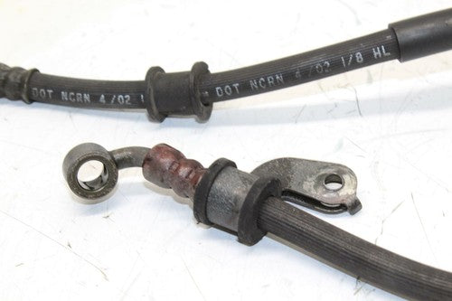 03-04 Honda Cbr600rr Front Brake Caliper Hoses LINES OEM