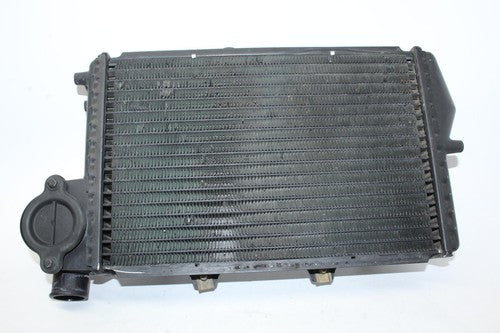 1999 Bmw K1100lt Engine Radiator Motor Cooler Cooling Radiater