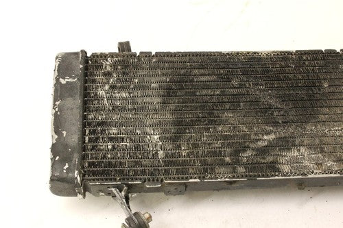 1995 Honda Cbr600f3 Engine Radiator Motor Cooler Cooling Radiater