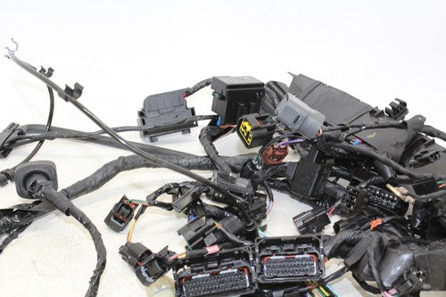 13-16 Triumph Daytona 675r Abs Main Engine Wiring Harness Motor Wire Loom OEM