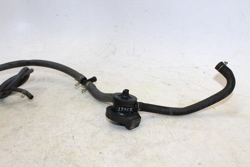 1996 Honda Interceptor 750 Vfr750f Evap Vapor Charcoal Emission Canister