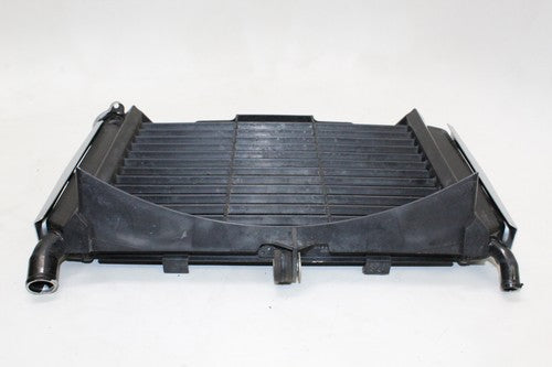 2007 Yamaha Fz6 Engine Radiator Motor Cooler Cooling 4s8-12461-00-00 OEM
