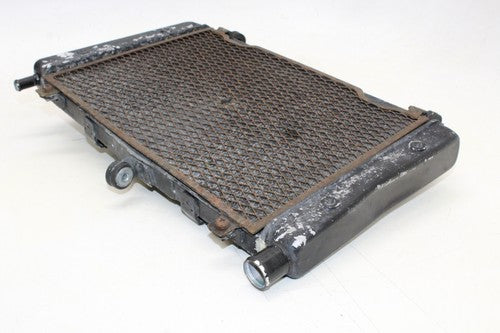 2004 01-05 Yamaha Fz1 Fazer Engine Radiator Motor Cooler Cooling Radiater OEM