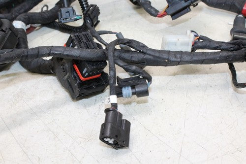 2013 Ducati Monster 796 Main Engine Wiring Harness Motor Wire Loom
