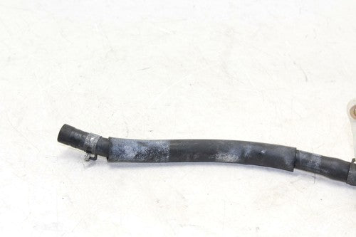 1996-1997 Honda Cbr900rr Rear Brake Master Fluid Reservoir Tank Bottle OEM