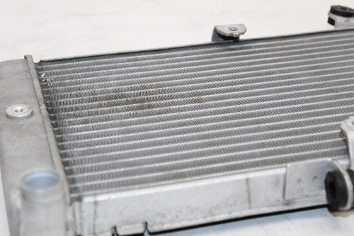 2007 Honda Silver Wing 600 Fsc600 Engine Radiator Motor Cooling Radiater OEM