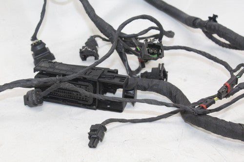 2008-18 Bmw F800gs Speedo Gauges Wiring Harness Wire Loom OEM