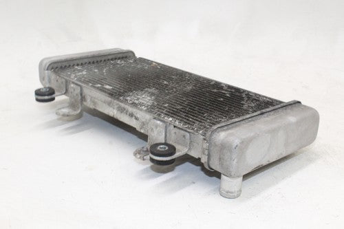 2013-17 Kawasaki Ninja 300 Ex300a Engine Radiator Motor Cooler Cooling OEM