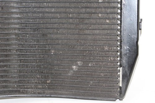 2009-12 Triumph Daytona 675r Engine Radiator Motor Cooler Cooling Radiater OEM