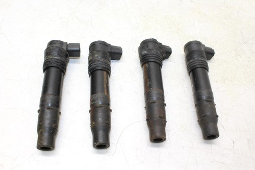 04-05 Kawasaki Ninja Zx10r Zx1000c Ignition Coils Coil Spark Plug Caps OEM