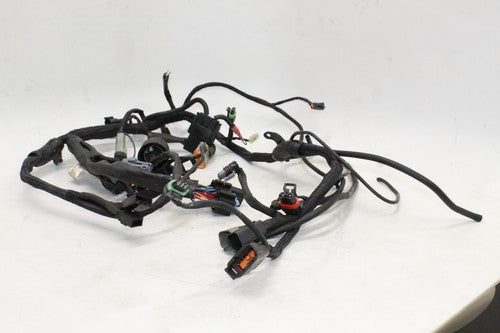 2005 Harley-davidson Sportster 883 Xl883l Main Engine Wiring Harness Motor OEM
