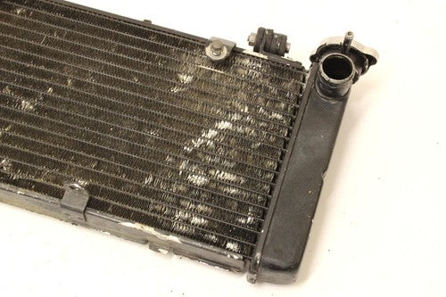 1995 Honda Cbr600f3 Engine Radiator Motor Cooler Cooling Radiater