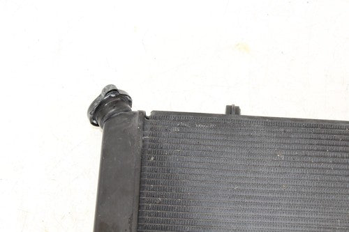 2015 Yamaha Fz09 Engine Radiator Motor Cooler Cooling Radiater