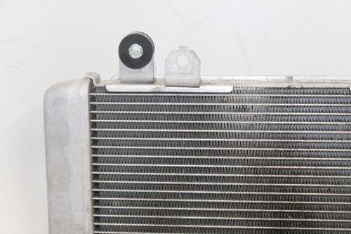 2013-17 Kawasaki Ninja 300 Ex300a Engine Radiator Motor Cooler Cooling OEM