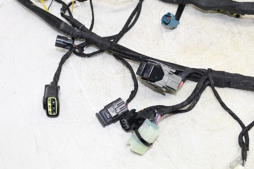 2015 Ducati 899 Panigale Main Engine Wiring Harness Motor Wire Loom