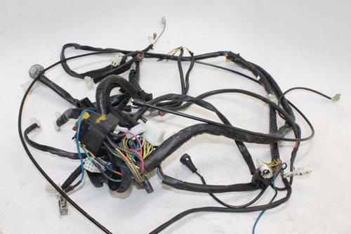 2002 Aprilia Scarabeo 150 Main Engine Wiring Harness Motor Wire Loom OEM