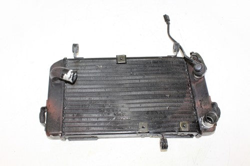 2002 Suzuki Sv650 Engine Radiator Motor Cooler Cooling Radiater