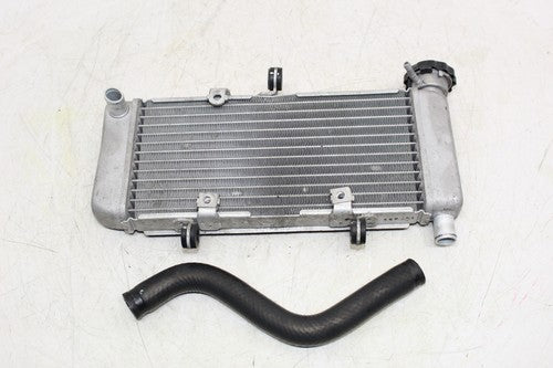 2015 Honda Cb300f Engine Radiator Motor Cooler Cooling Radiater